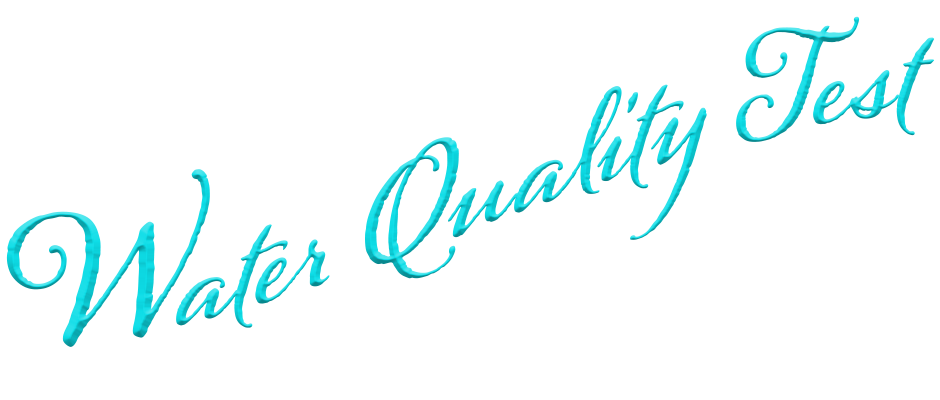 Water Quality Test